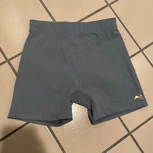NWOT Tracksmith Blue Cannonball run shorts size s